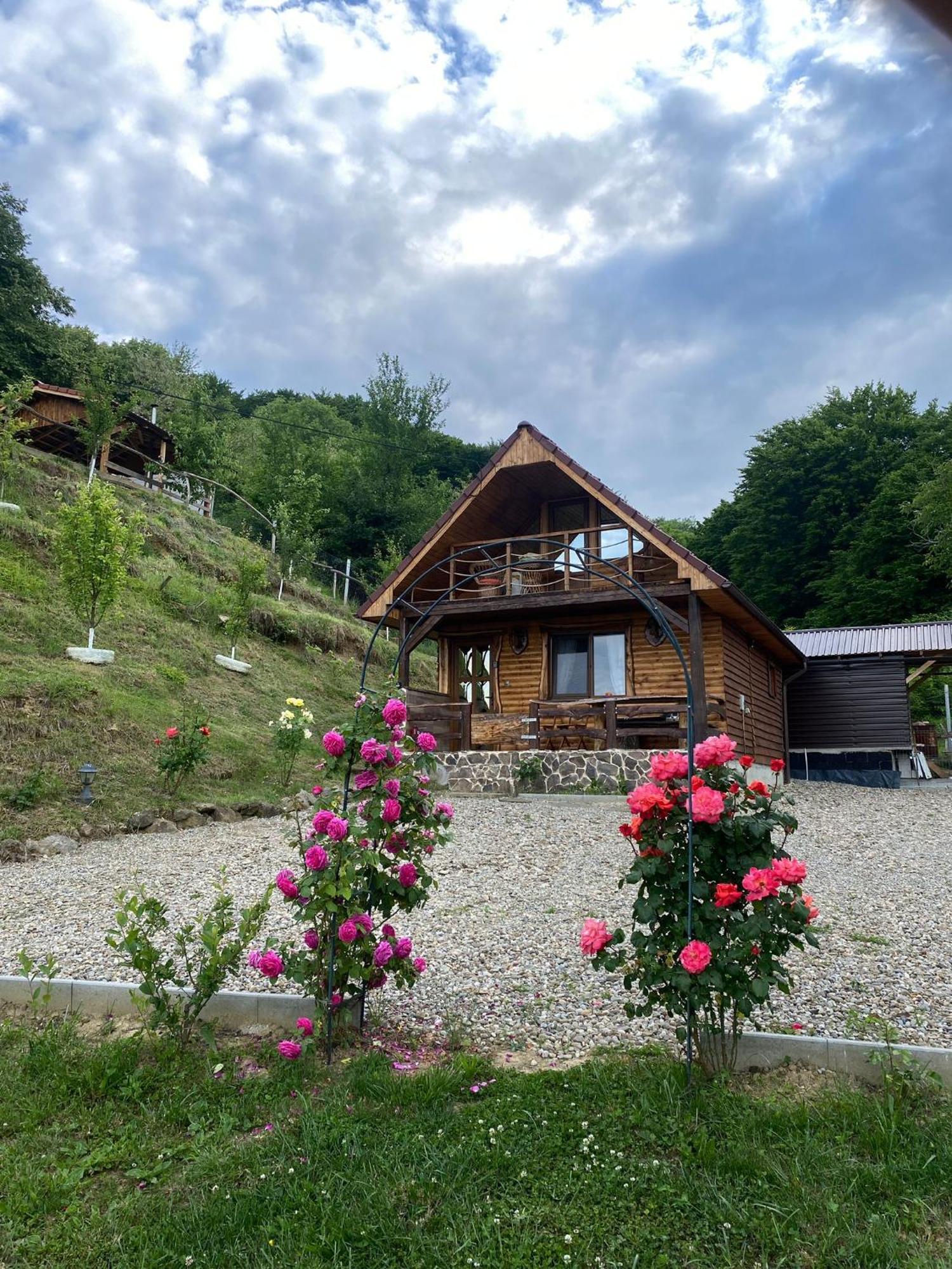 Chalets Du Bf Sighisoara Exterior photo